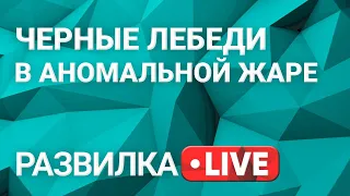 Развилка: тревожное политическое межсезонье. Выпуск 31 от 20.07.2021