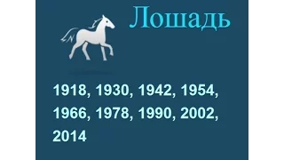 Год лошади, гороскоп составленный психологом Натальей Кучеренко.