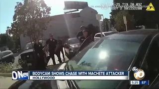 Bodycam video shows machete attack and shooting