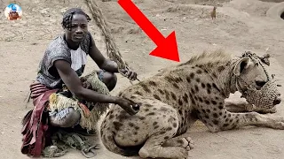 10 खतरनाक जानवर जिन्हें लोग घर में पालते है || 10 Extraordinary Pet Animals People Keep In Home