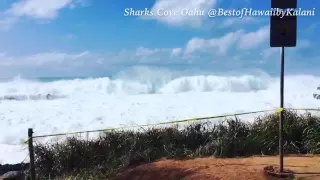 Sharks Cove Oahu Hawaii