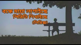 বন্দে_মায়া_লাগাইছে #lofi #song #vairalvideo