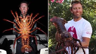 15 Biggest Animals You Won't Believe Actually Exist!