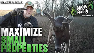 How to Attract Big Bucks to a Small Hunting Property