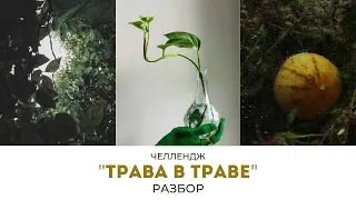 РАЗБОР. Челлендж "ТРАВА В ТРАВЕ"