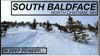 Baldface Powder Paradise