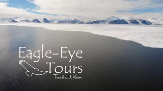 Baffin Island Floe Edge: Narwhals & Polar Bears Tour