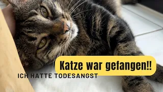 Katze war gefangen und wurde gerettet | Der Tag hat ihr Leben verändert- Kuschis Geschichte