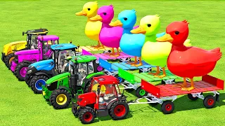 JOHN DEERE vs CASE vs RIGITRAC vs MCCORMICK TRANSPORT BATTLE WITH DUCKS - Farming Simulator 22