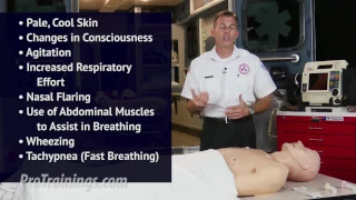 What is Respiratory Arrest?