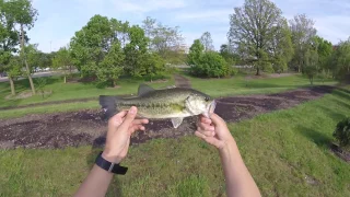 Ohio Bed fishing with Action Hat and Hero 4 Session!