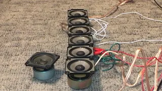 Six Bose Speakers Excursion At Once!