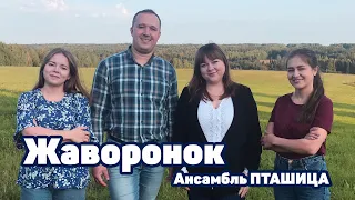 ЖАВОРОНОК - Ансамбль ПТАШИЦА a cappella