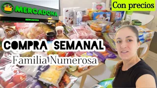 🛒Vlog de COMPRA SEMANAL de una Familia de 6/MERCADONA/Precios y Novedades#mamade4#supermercado