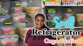 MY SMALL ORGANIZED REFRIGERATOR TOUR | Inspired by @Tanaania |Jamaican YouTuber 2021