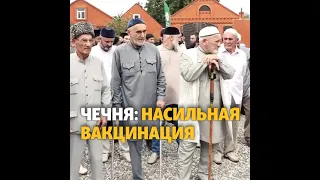 Насильная вакцинация за поддельные сертификаты #shorts