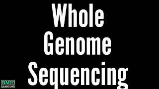 Whole Genome Sequencing | Genome Sequencing | Methods & Workflow Of Whole Genome Sequencing |