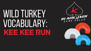 Wild Turkey Vocabulary: Learning the Kee Kee Run on a mouth call