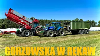 Kiszonka z mieszanki gorzowskiej w rękaw [vlog#234]