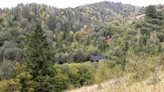 A remote mountain forest cabin far from civilization. The hard life of my ancestors.