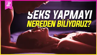 Canlılar Hayatta Kalmaları ve Üremeleri Gerektiğini NEREDEN Biliyor?