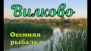 Вилково. Один из лучших регионов Украины для рыбалки и отдыха.