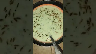 Maza dar chira fish 🐟#Full racipie on my Youtube channel ##watch till end###viral video