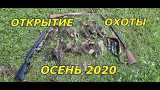 Открытие охоты на уток 2020