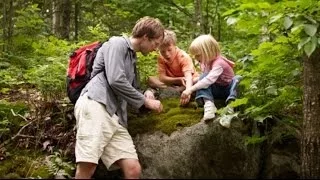 How to Identify Poison Ivy, Oak, and Sumac