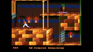 [Sega Genesis] - Prince of Persia - Level 5