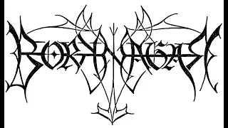 Borknagar @ Mass Deathtruction