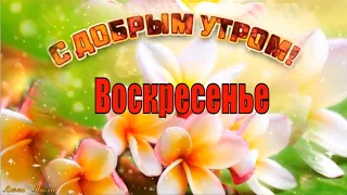 Доброго Утра  Воскресенье Красивая Песня С Добрым Утром Музыкальная открытка Прекрасного Воскресенья