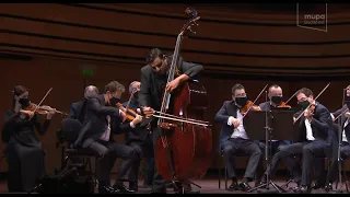 Ödön Rácz & Franz Liszt Chamber Orchestra - Bottesini Concerto for Double Bass No.2