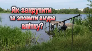 Як зловити білого амура влітку? чим прикормити ?та на що потрібно звернути увагу?