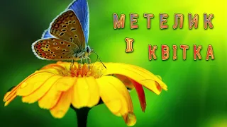Аудіоказка українською "Метелик і квітка" / Аудіоказка на ніч