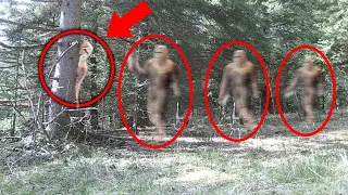 Mega Compilation of NEWEST Most Disturbing Trail Cam Footage