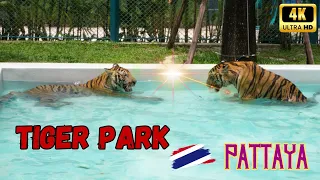 Pattaya Tiger Park 4K | Thailand 🇹🇭 EP5