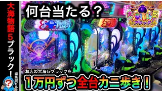 【大海物語5ブラック】お店のブラック全台1万円ずつカニ歩きすると勝てるのか？（編集部ビル君実践動画2024/1/17）