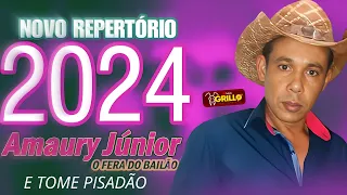 AMAURY JUNIOR O FERA DO BAILÃO - REPERTÓRIO NOVO (2024)