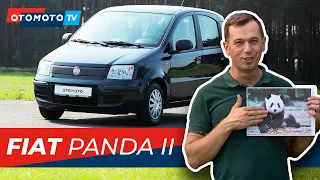 FIAT PANDA II - auto za jedną wypłatę! | Test OTOMOTO TV