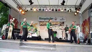 The wild Bobbin`Baboons auf der BUGA in Koblenz