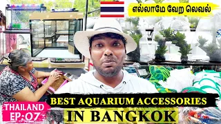 Amazing Aquarium Fish Tanks and Cheapest Aquarium Accessories in Bangkok Chatuchat Market 🇹🇭