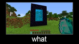 Minecraft wait what meme part 60 (diamond portal)