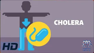 CHOLERA: Everything You Need To Know