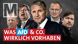 Vertreibung aus Deutschland: Die Pläne von AfD & Co. - MONITOR