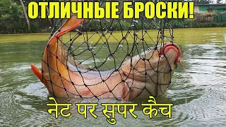 рыбалка на кастинговую сеть! лучшие забросы! топ 10! net मछली पकड़ने की! Cast Net Fishing! TOP 10!