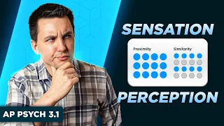 Sensation and Perception  [AP Psychology Unit 3 Topic 1] (3.1)