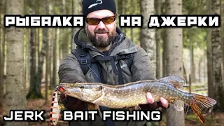 ЩУКА на ДЖЕРКБЕЙТ Осенью на Лесной речке | Рыбалка в Ленинградской области на Спиннинг