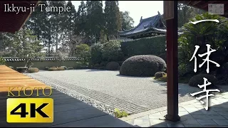 [4K] 一休寺　京都の庭園　Ikkyu-ji Temple [4K] The Garden of Kyoto Japan