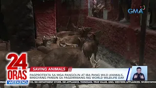 24 Oras Weekend Part 2: Kotse nagliyab; cocaine sa dagat; Farm business na Kita Mo; atbp.